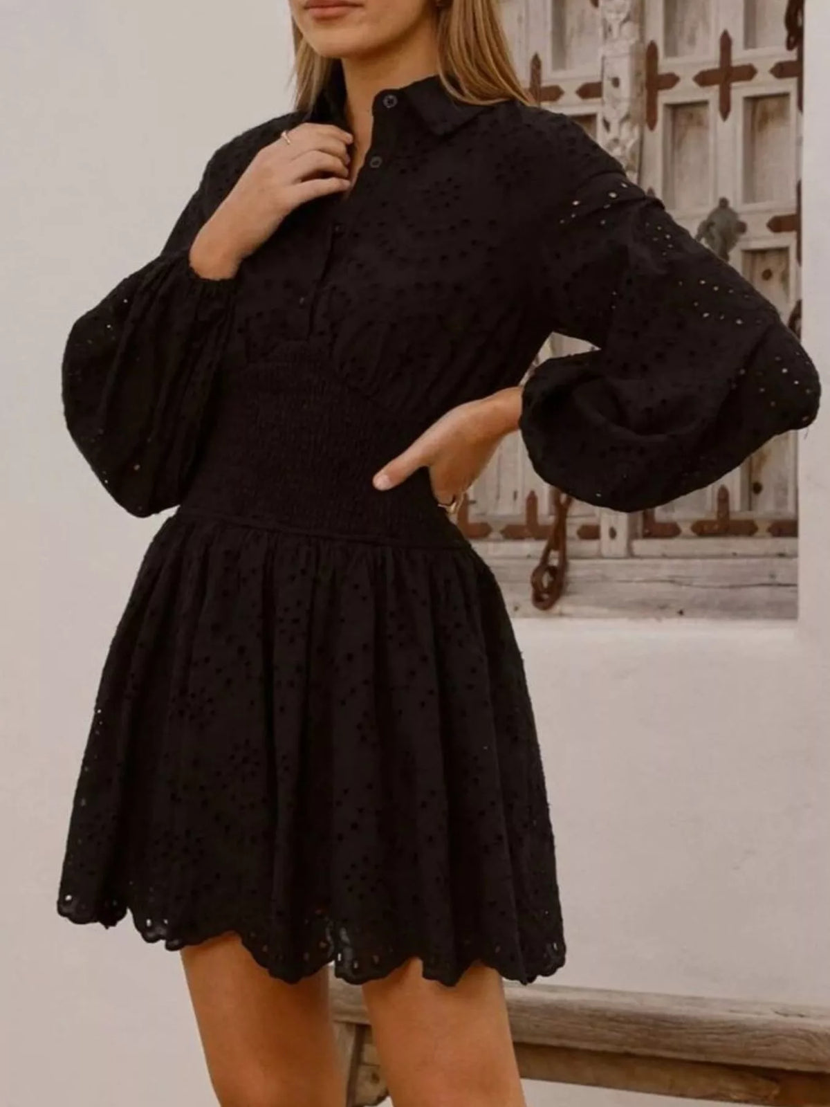 Eyelet Balloon Sleeve Mini Dress