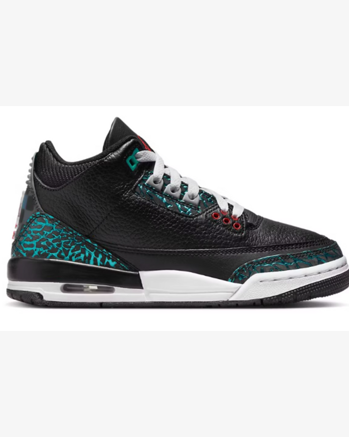 Jordan 3 Retro SE Moto (GS)