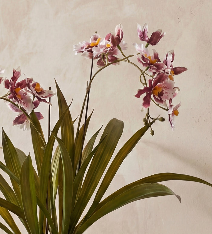 Artificial Burgundy Orchid & pot