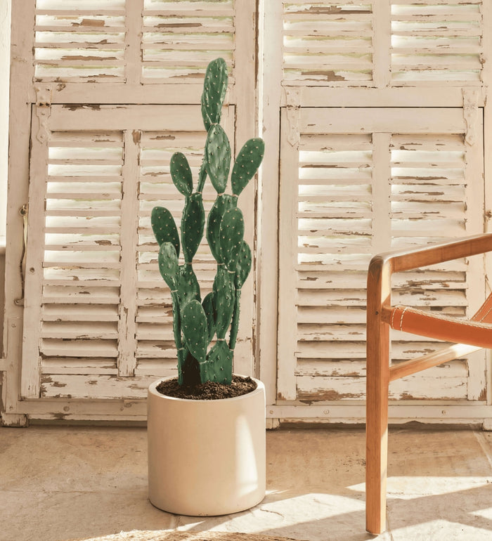 Artificial Myrtillo Cactus