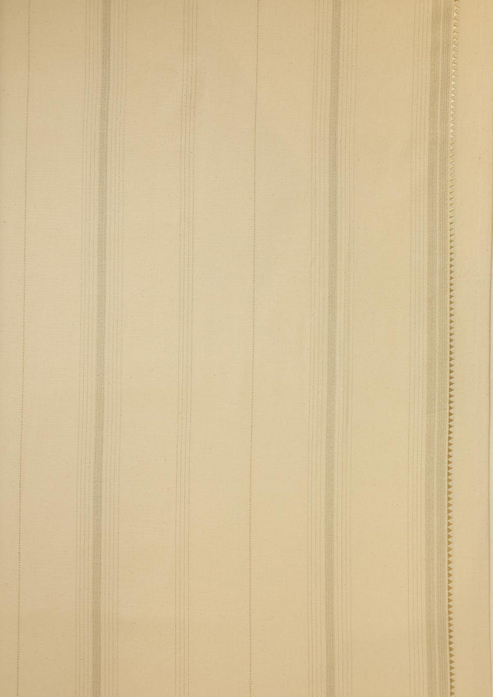 Daaram Gold & Beige | 100% Cotton Woven Textured | Light Reduction Fabric