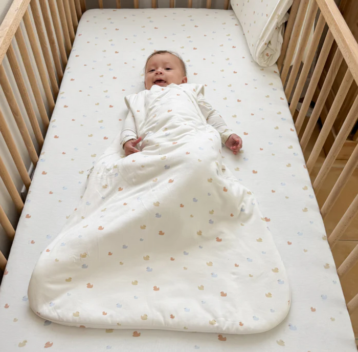 Gunamuna Sleep Bag 1.0 Ducks 3-9M