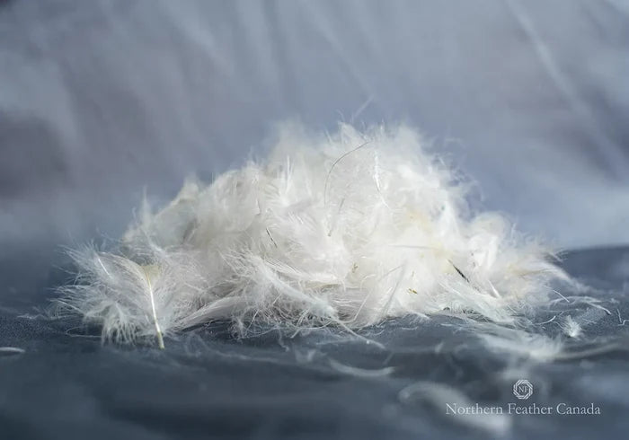 Pile of 20% Down 80% Feather Fill