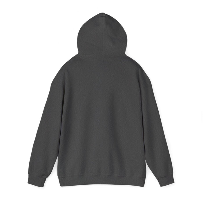 LVA Alumni Unisex Heavy Blend™ Hooded Sweatshirt